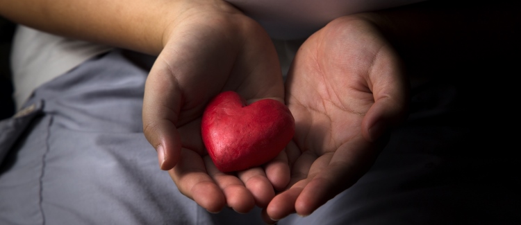 heart in hands