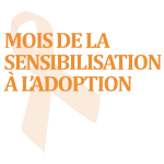 ribbon logo_fr