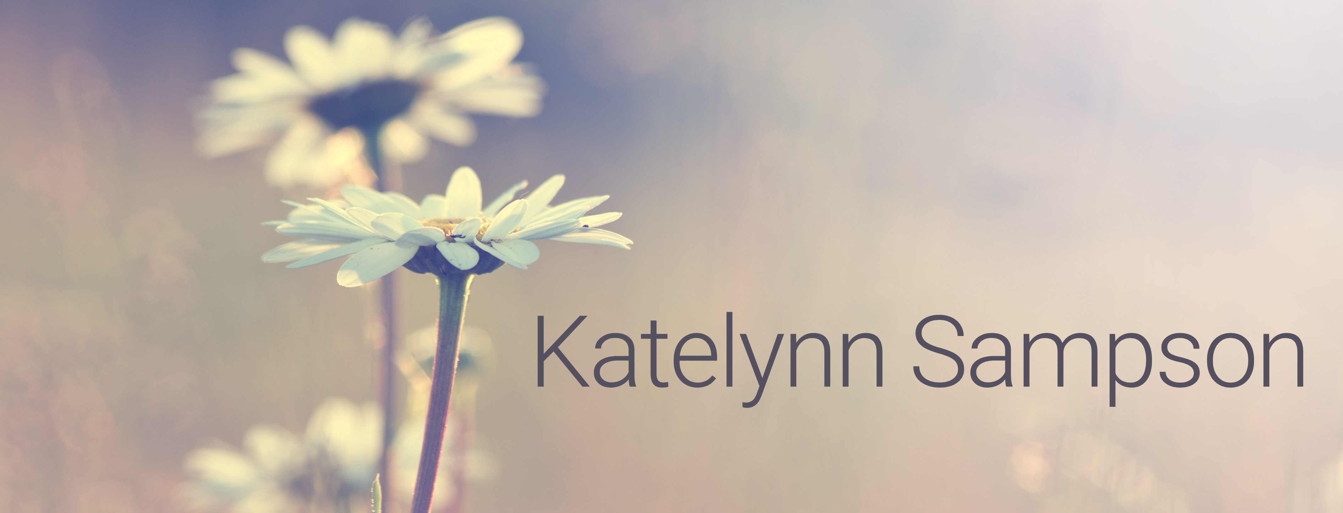 Katelynn Sampson website statement banner