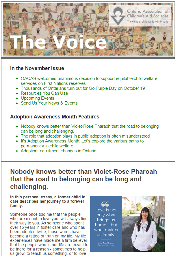 november-voice-cover