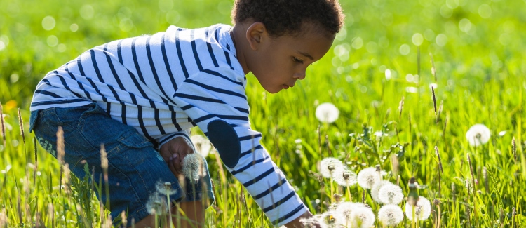 boy picking flowers